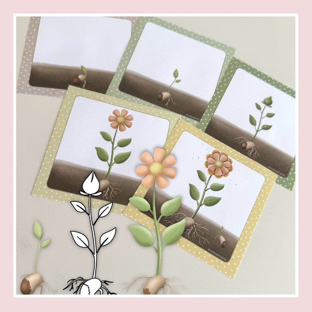 Beurteilungs-/ Einschätzungsbilder "Blume"