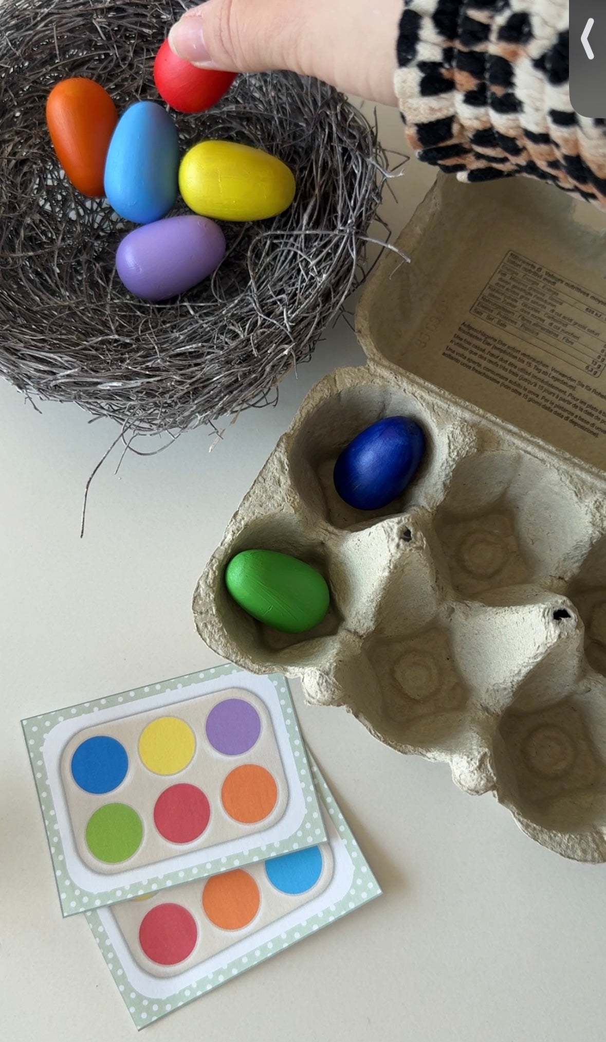 Farben ordnen | Eierschachtel-Spiel