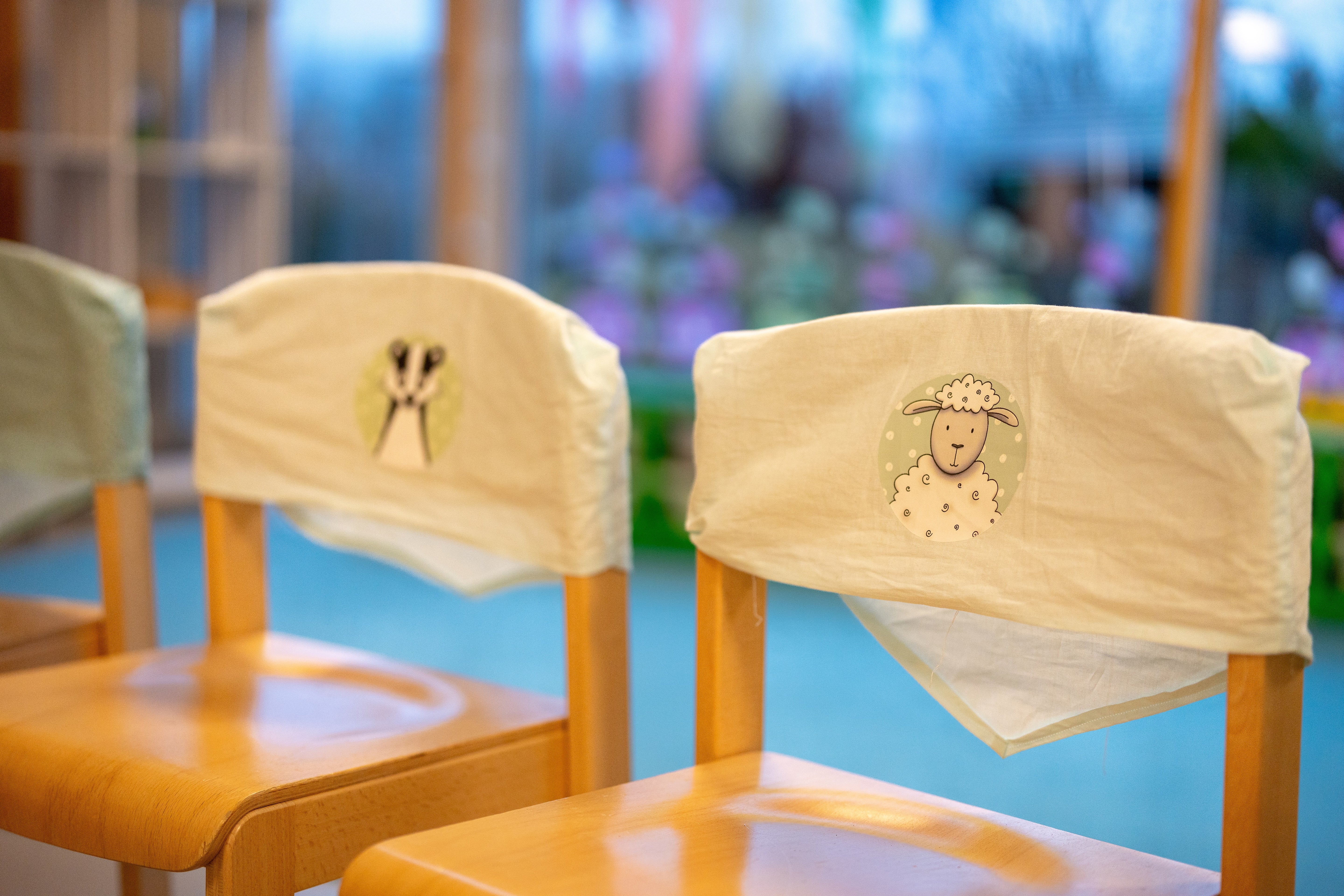 Erkennungstiere | digitale Bilder