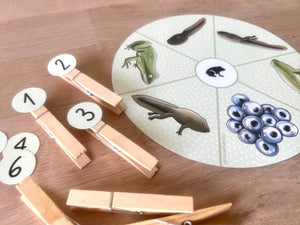 IMG_8153.jpg