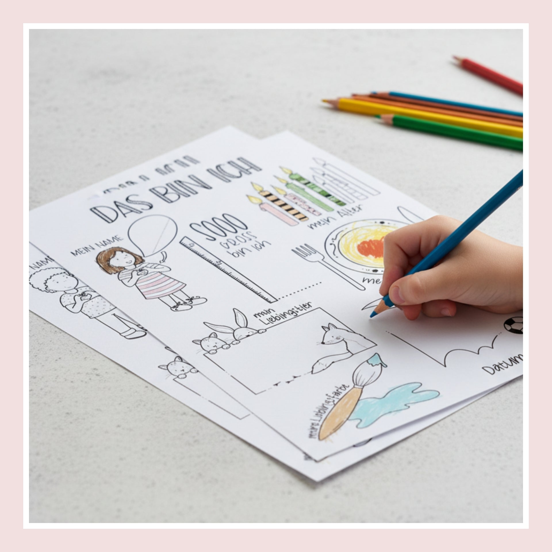 Portfolio - Steckbrief